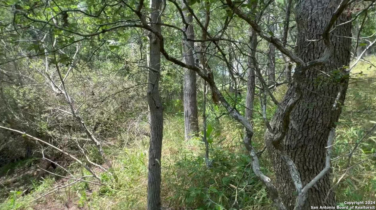 0 Kaukonahua Ln - LOT 649 / 650, ,  78602 — photo 1