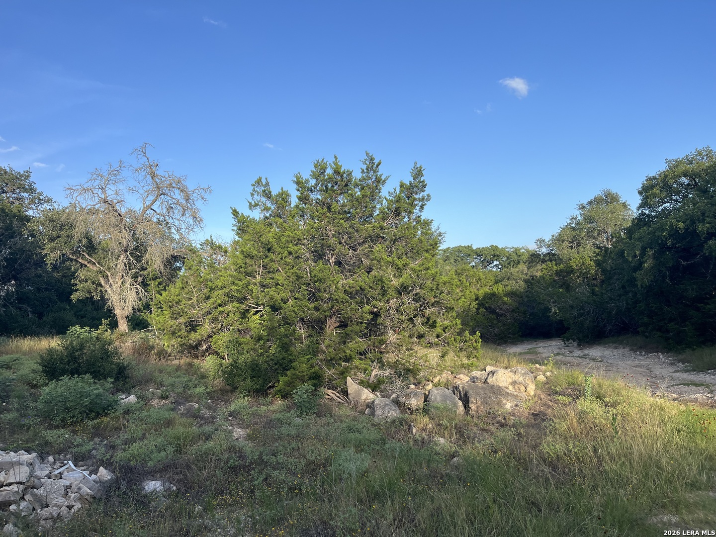 1615 Forest Lake, , 78070 — photo 1
