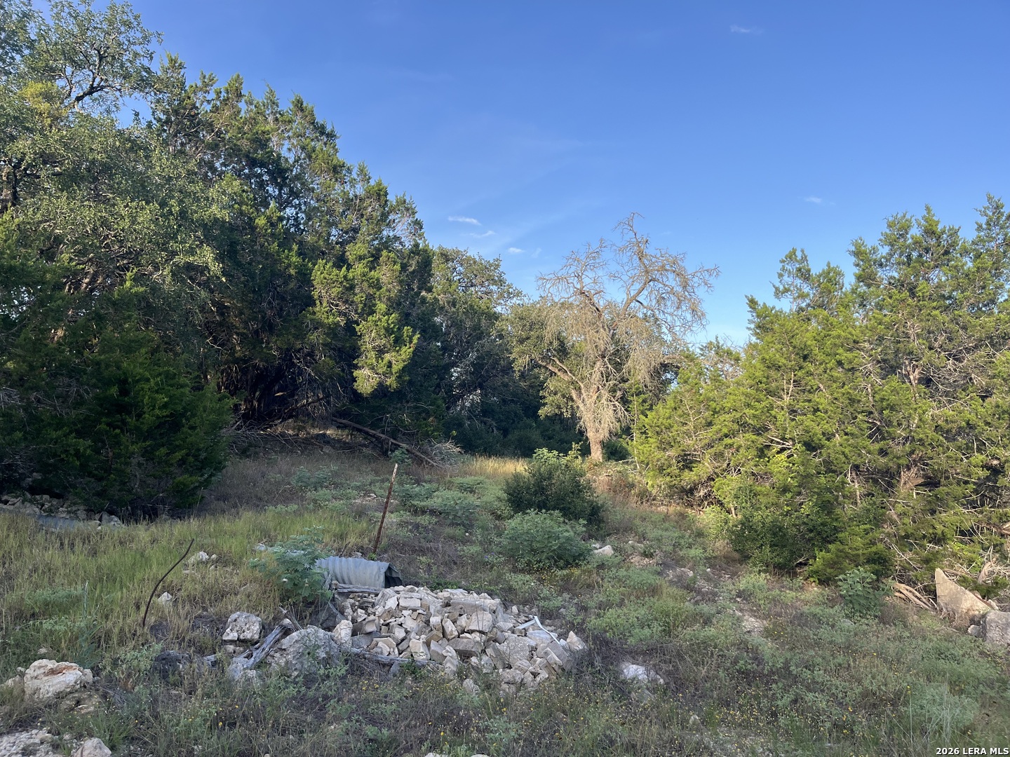1615 Forest Lake, Spring Branch, TX 78070 — photo 1
