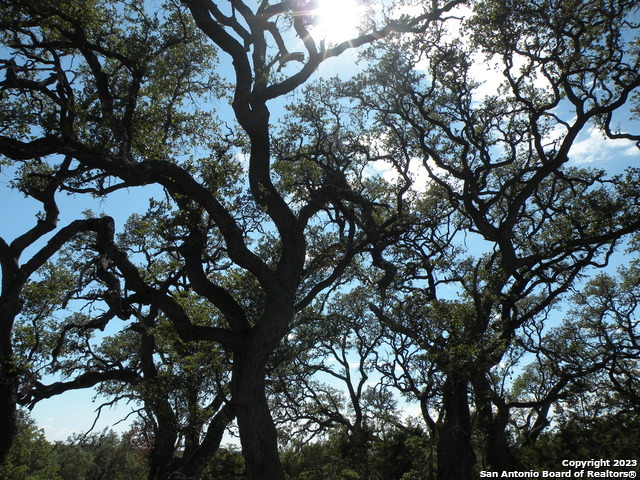 722 BLAZE RIDGE BLVD, Bulverde, TX 78163 — photo 1