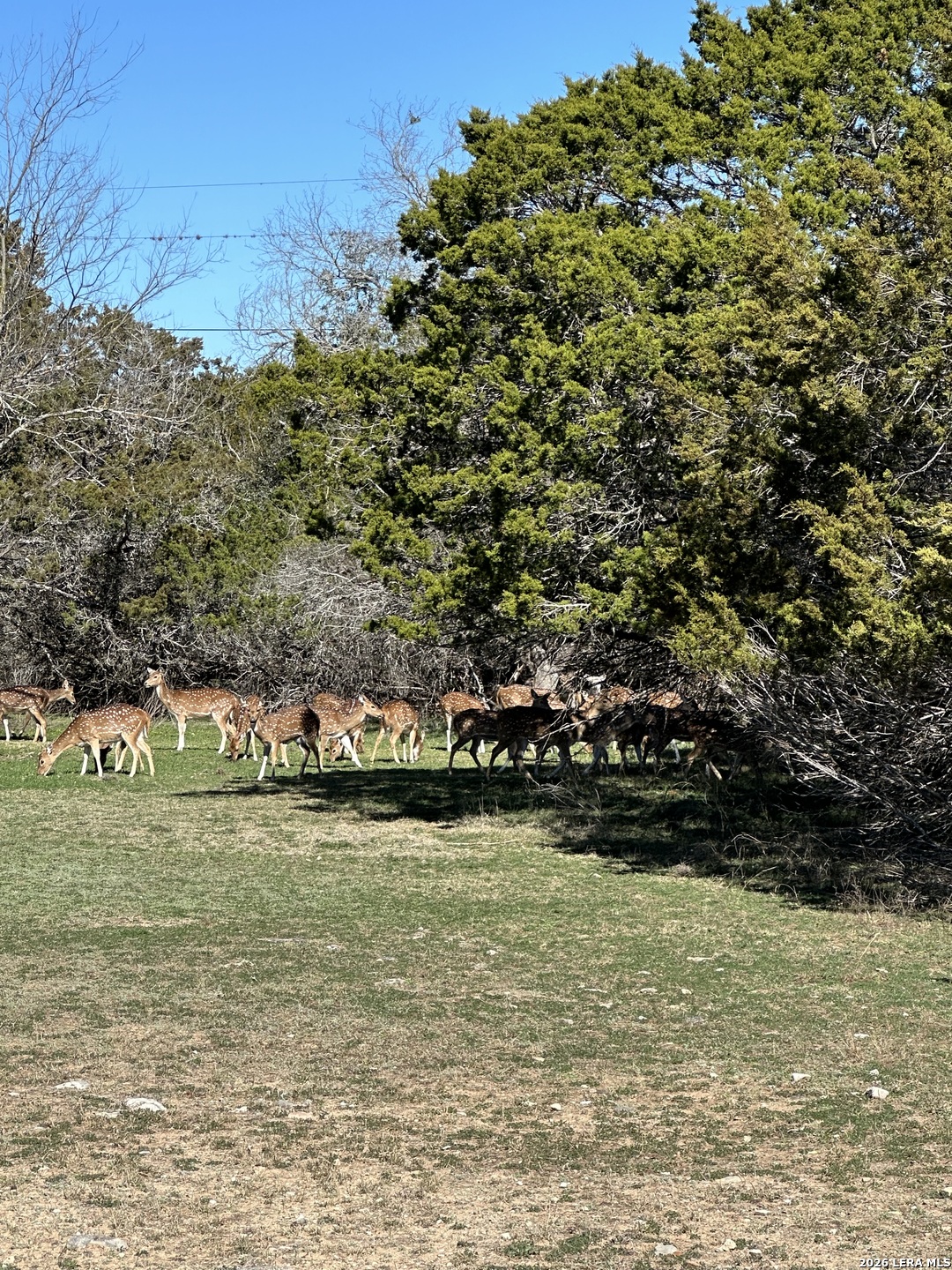Deerwood, Bandera, TX 78003 — photo 1