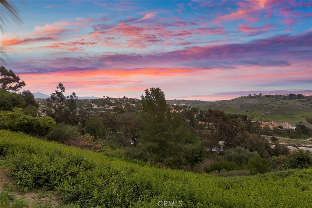 31152 Boca Raton, Laguna Niguel, CA 92677 — photo 1