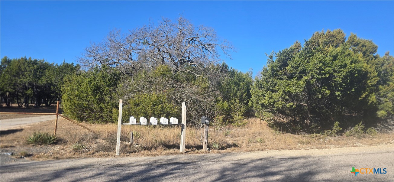 TBD Firefly Road, Florence, TX 76527 — photo 1