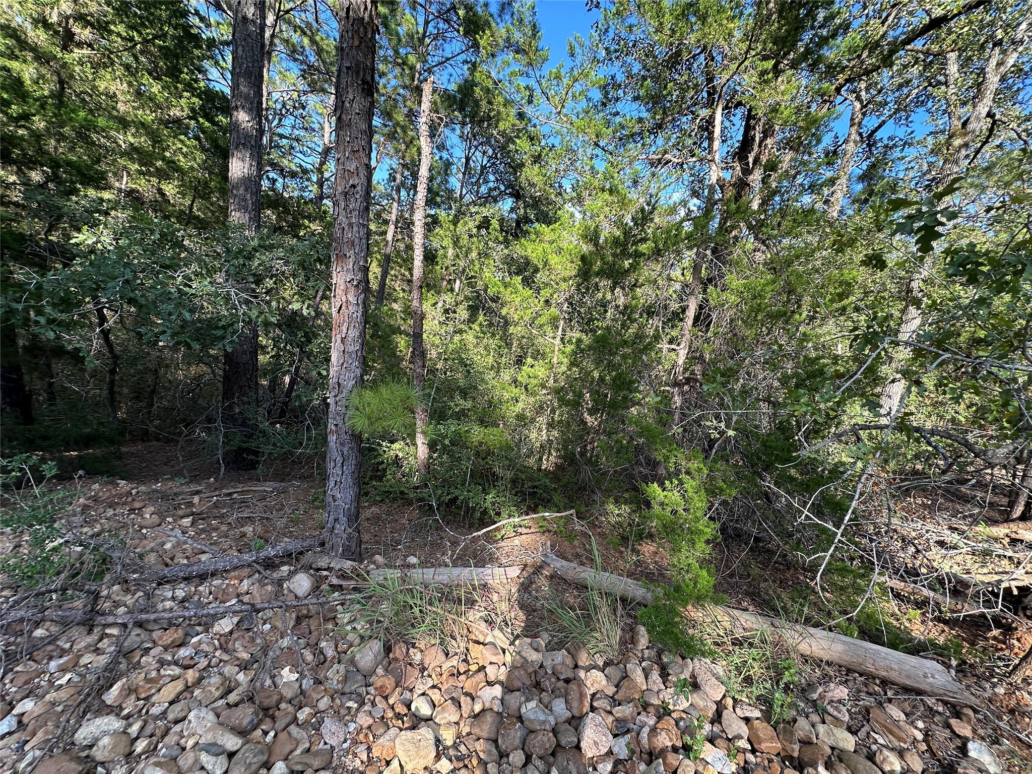 169  Molokini Dr, Bastrop, TX 78602 — photo 1