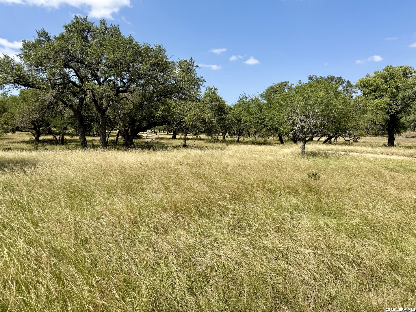43 ACRES Sattler Rd., Spring Branch, TX 78070 — photo 1