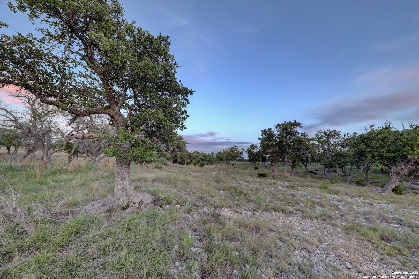 Stevens Ranch Rd