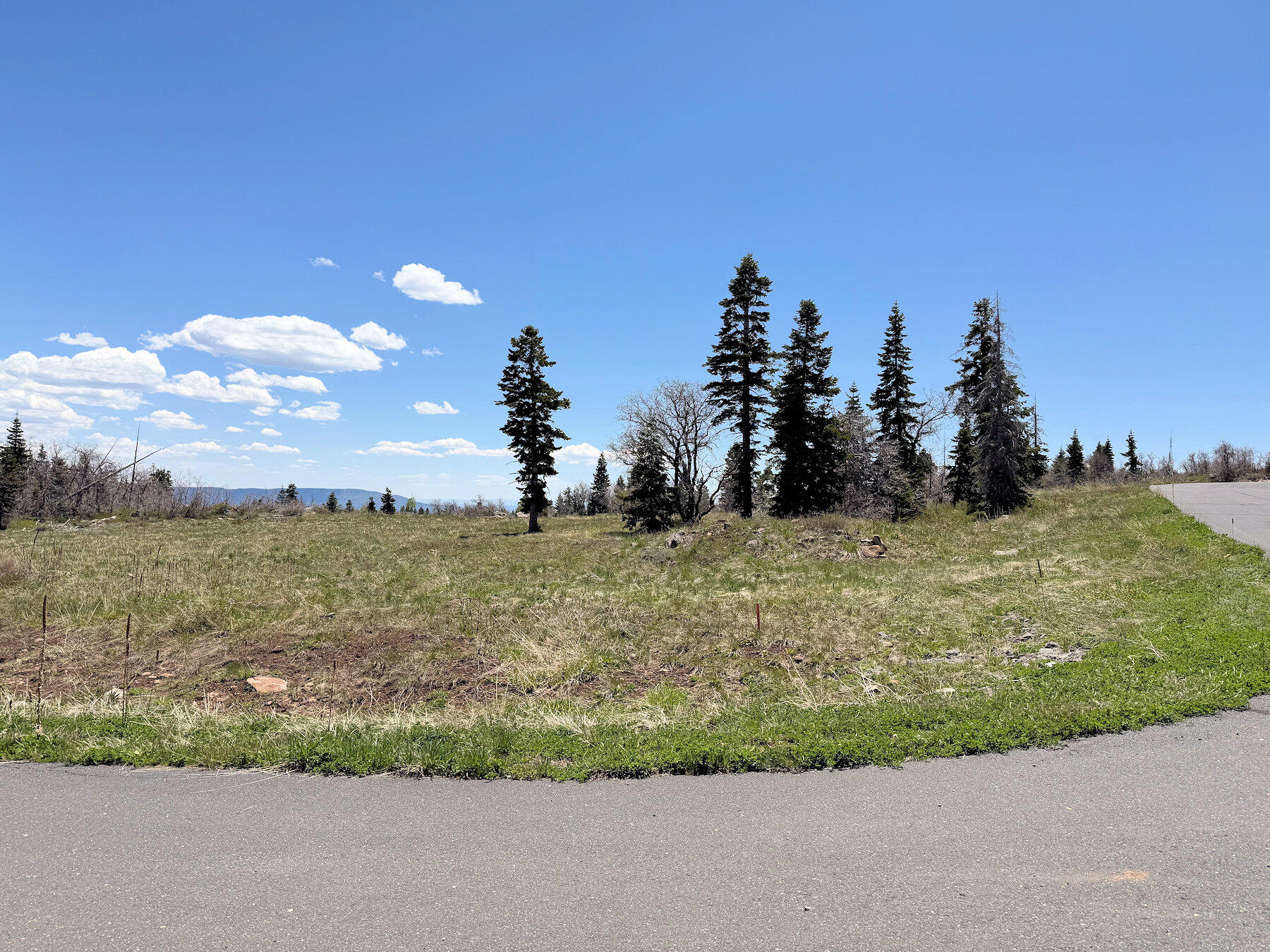 403 W Blue Spruce Dr. 58, Virgin, UT 84779 — photo 1