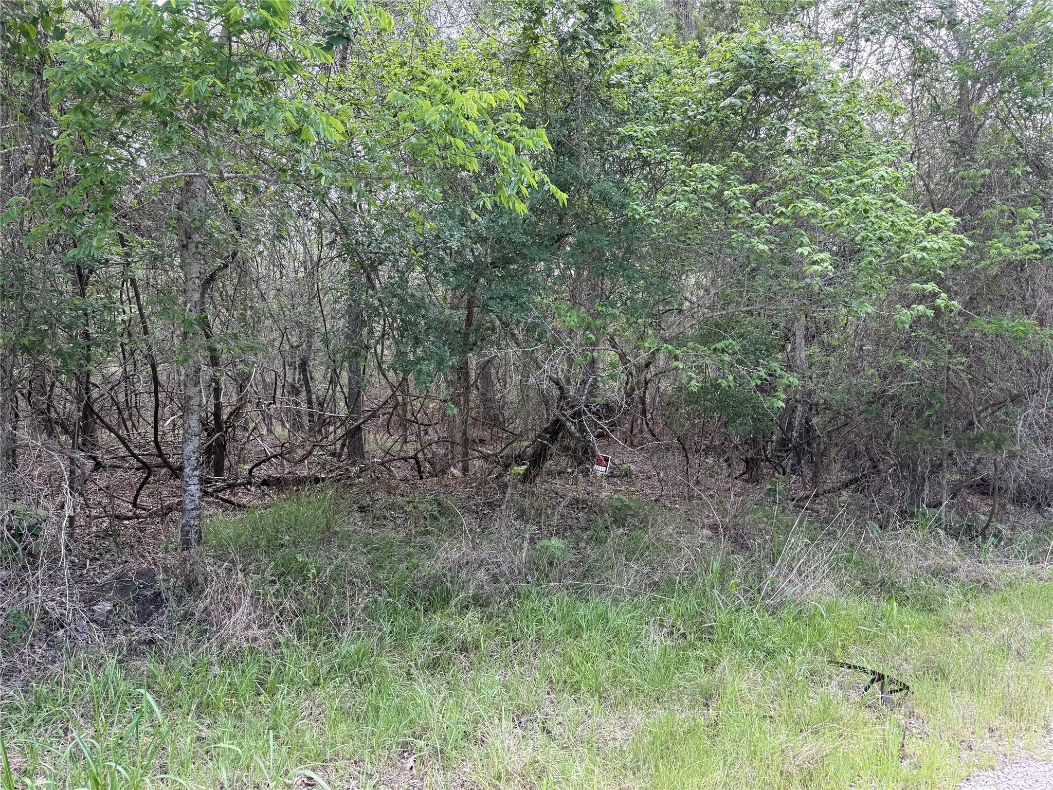305 Nene, Bastrop, TX 78602 — photo 1