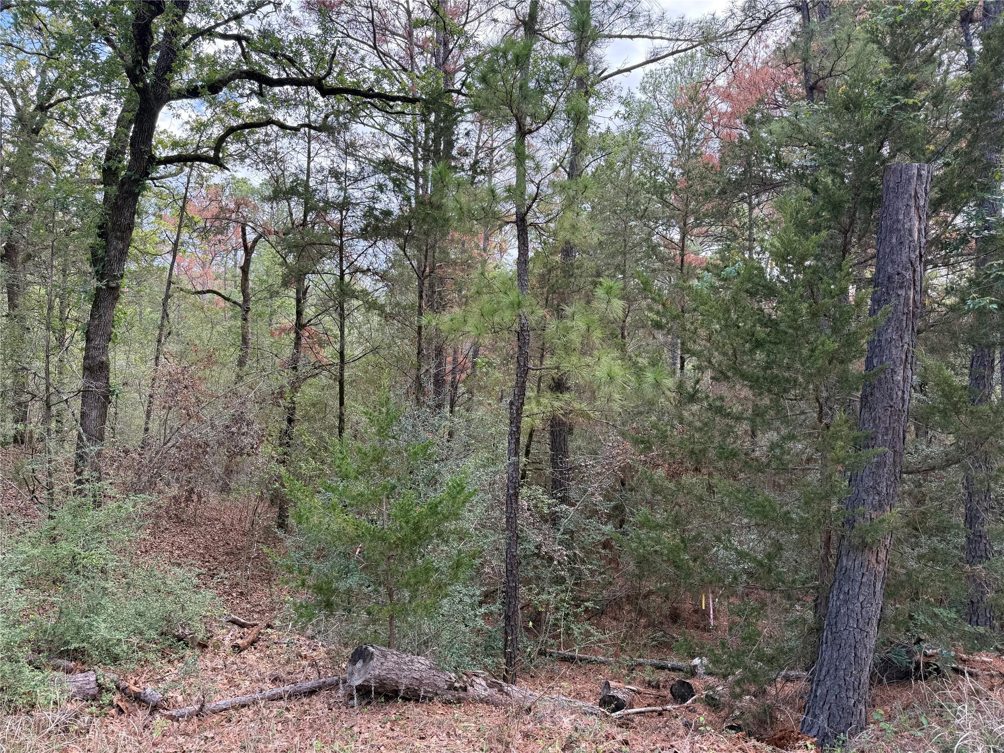 125 Lamaloa, Bastrop, TX 78602 — photo 1