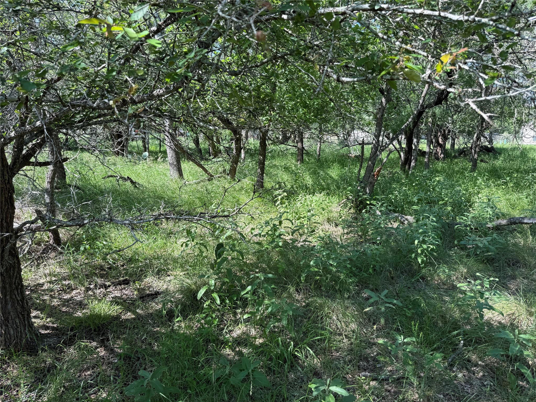 236 Mokulua, Bastrop, TX 78602 — photo 1