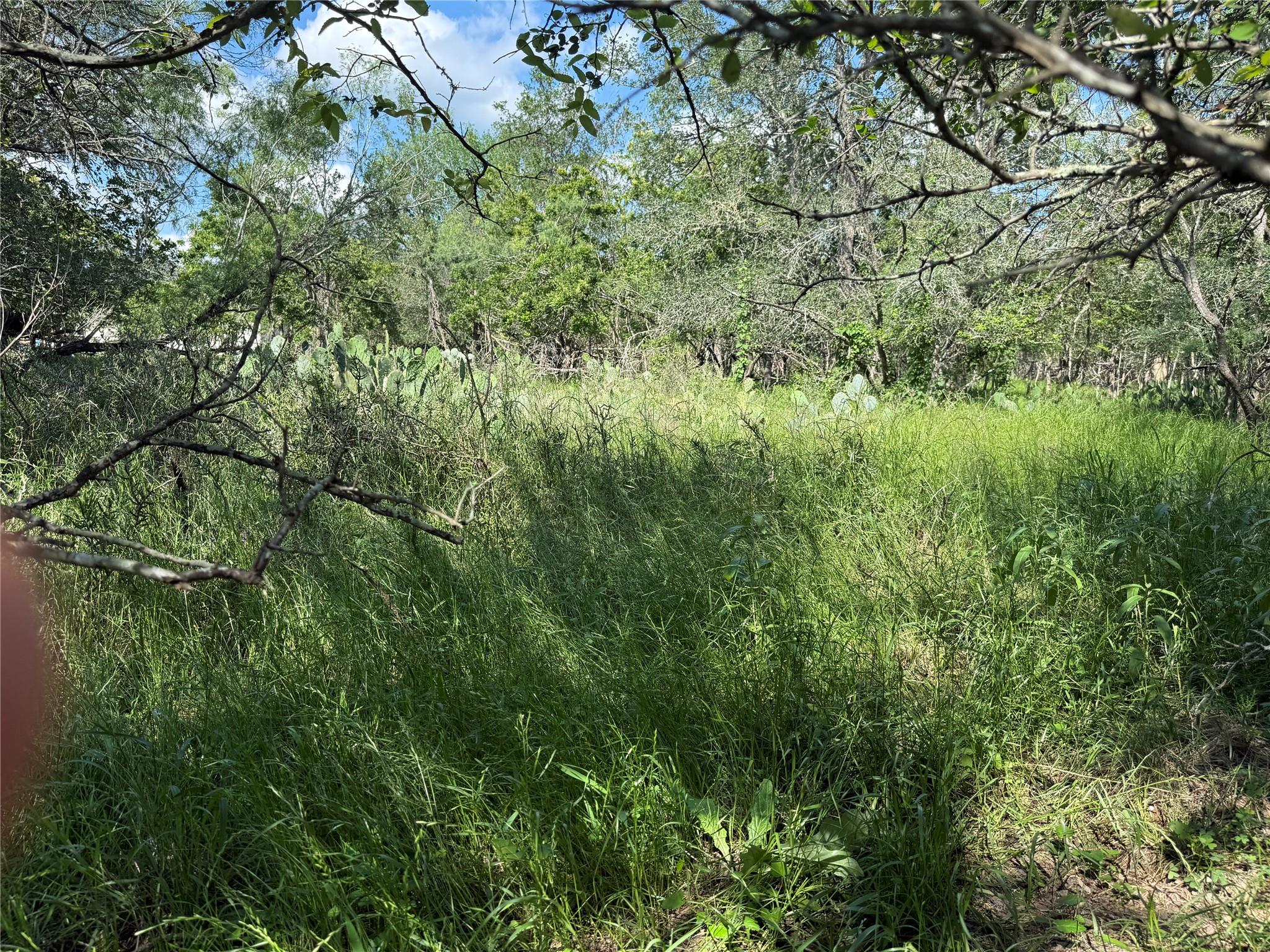 232 Mokulua, Bastrop, TX 78602 — photo 1