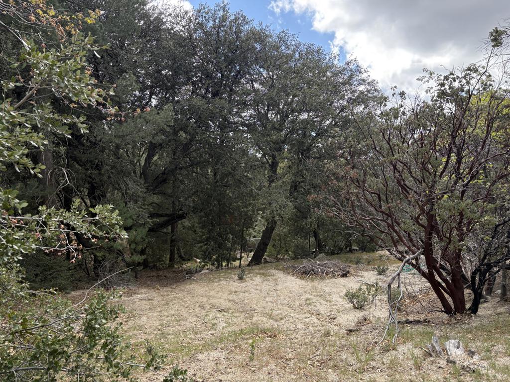 0 Schaffer Drive, Pine Cove, CA 92549 — photo 1