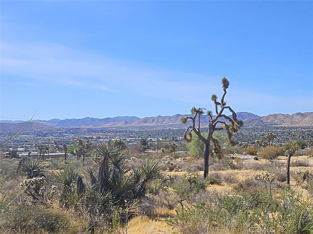 6961 Cherokee Trail, Yucca Valley, CA 92884 — photo 1