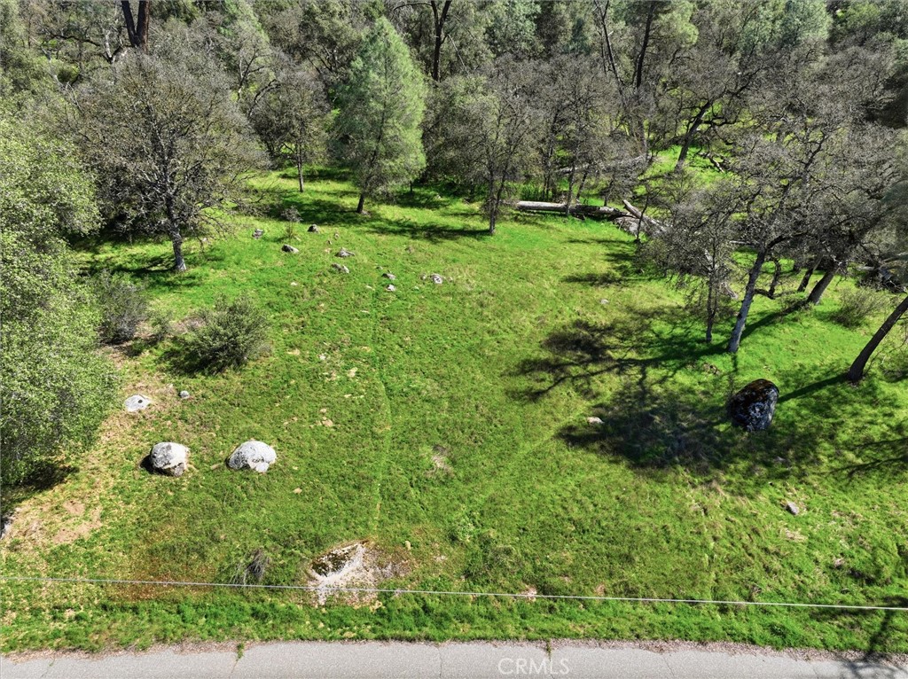 4260 Burl, Mariposa, CA 95338 — photo 1
