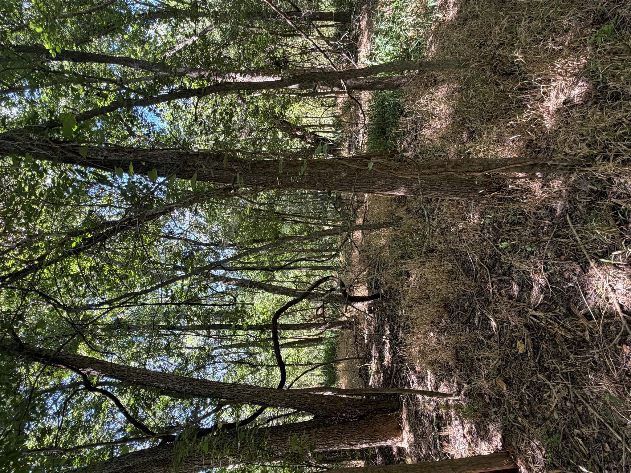 Lot 677 Kaukonahua, Bastrop, TX 78602 — photo 1