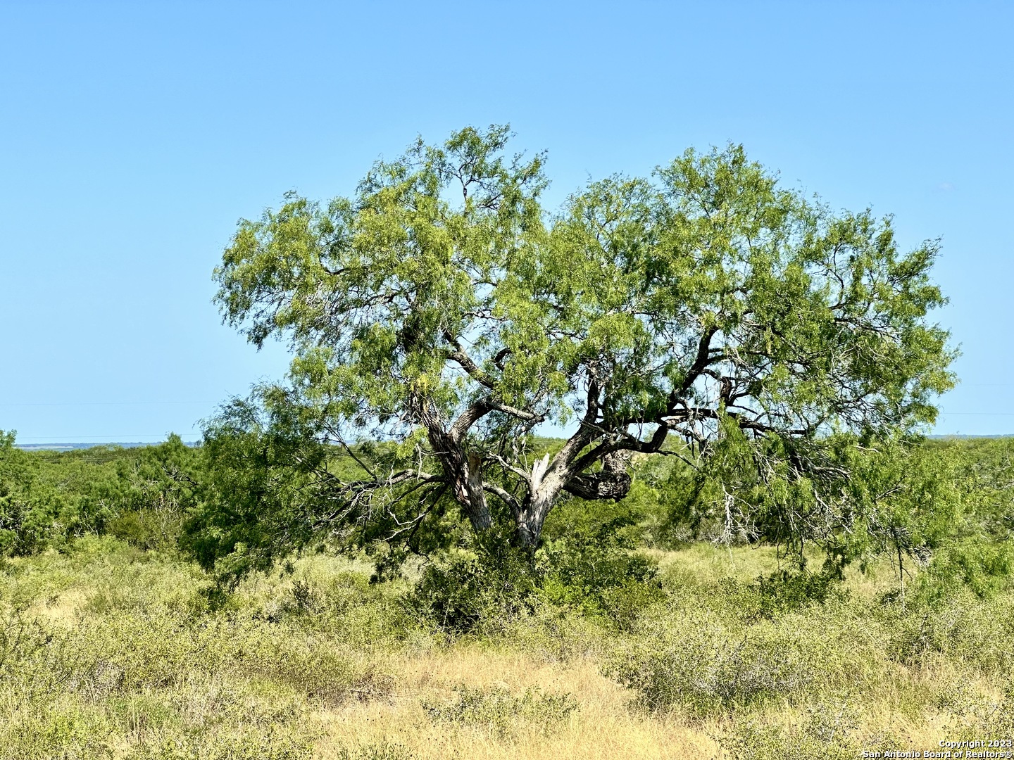 O County Road 116, ,  78022 — photo 1