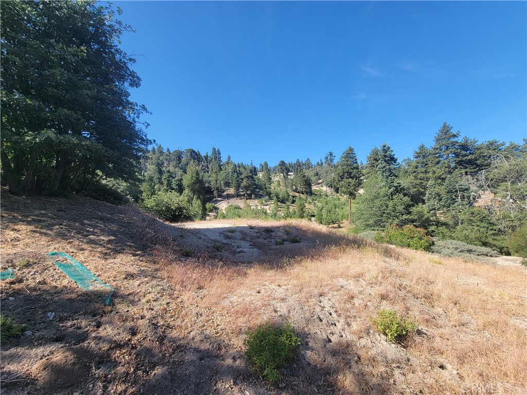 33345 Angeles, Green Valley Lake, CA 92341 — photo 1