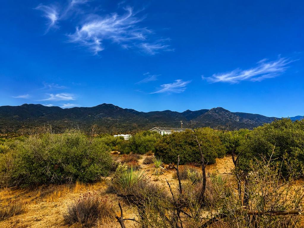 217 Chalet Drive, Mountain Center, CA 92561 — photo 1