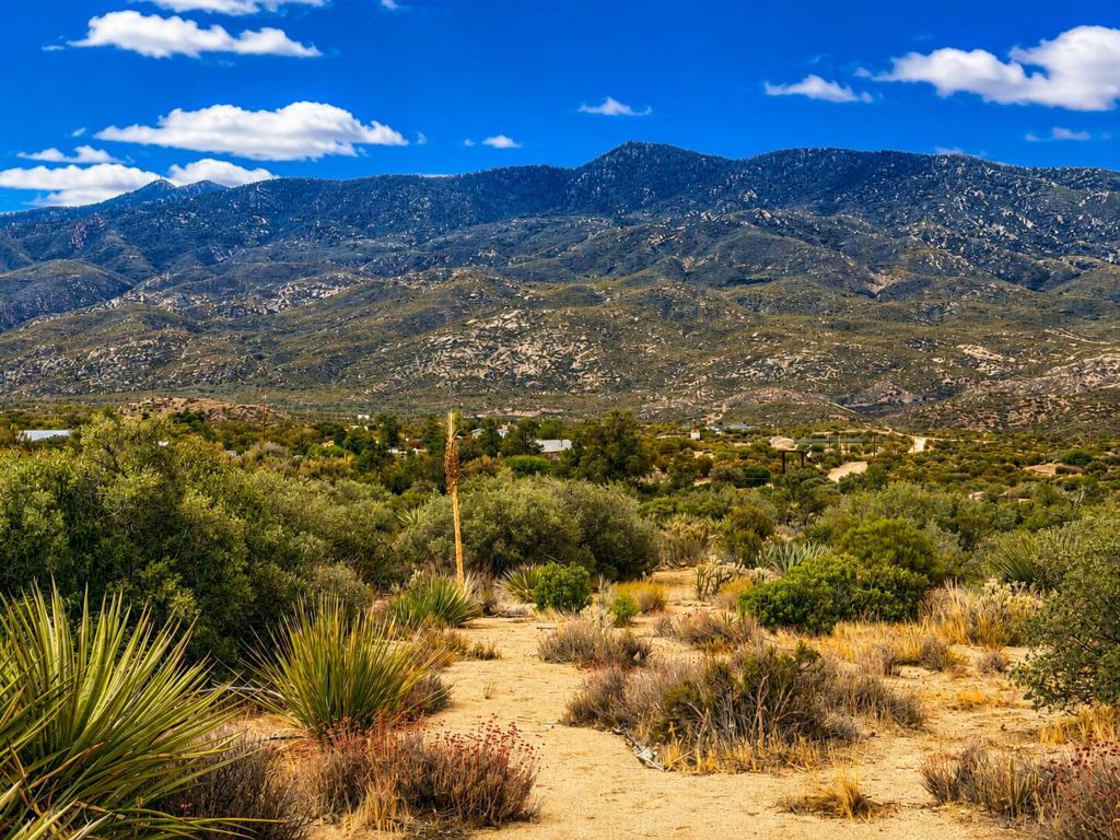 214 Chalet Drive, Mountain Center, CA 92561 — photo 1