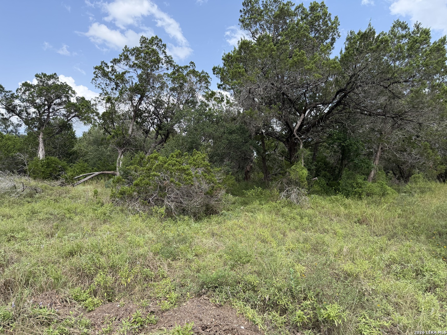 6936 Circle Oak Dr, , 78163 — photo 1