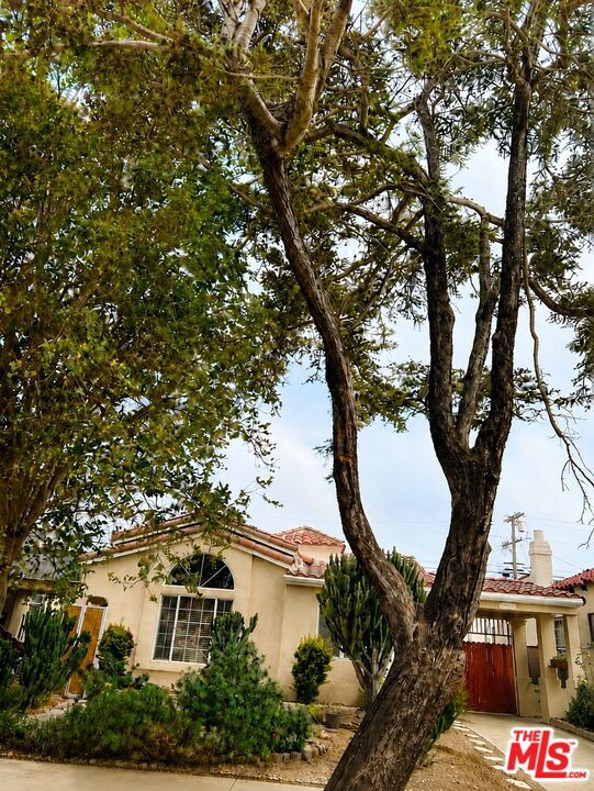 1271 W 81st Street, Los Angeles, CA 90044 — photo 1
