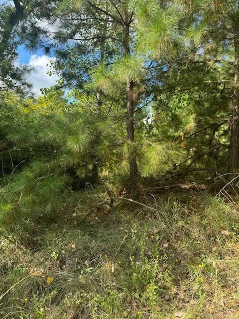 Lot 1338 Tahitian, Bastrop, TX 78602 — photo 1