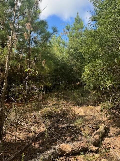 Lot 1339 Tahitian, Bastrop, TX 78602 — photo 1