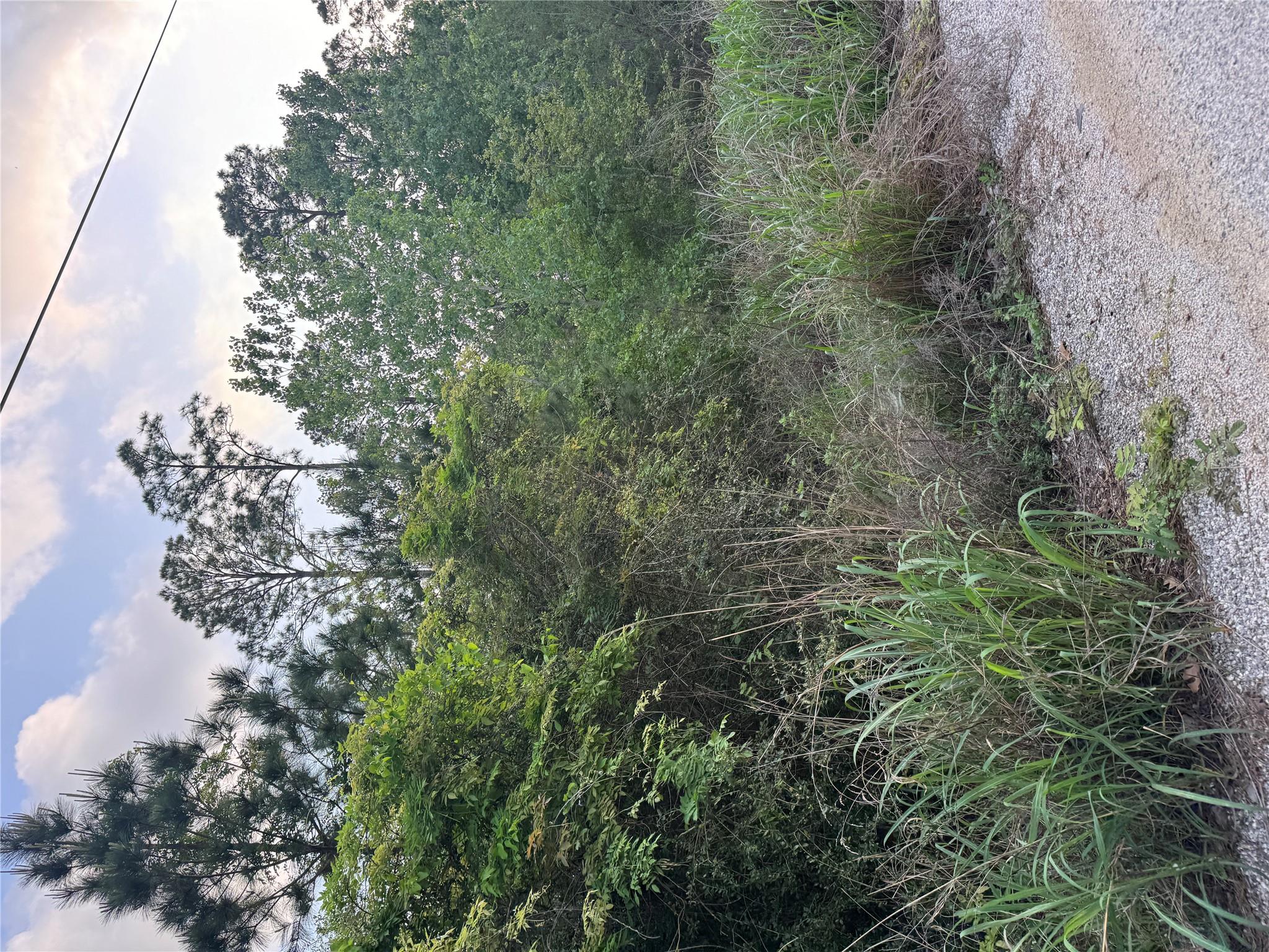 Lot 1386 Pahihi, Bastrop, TX 78602 — photo 1