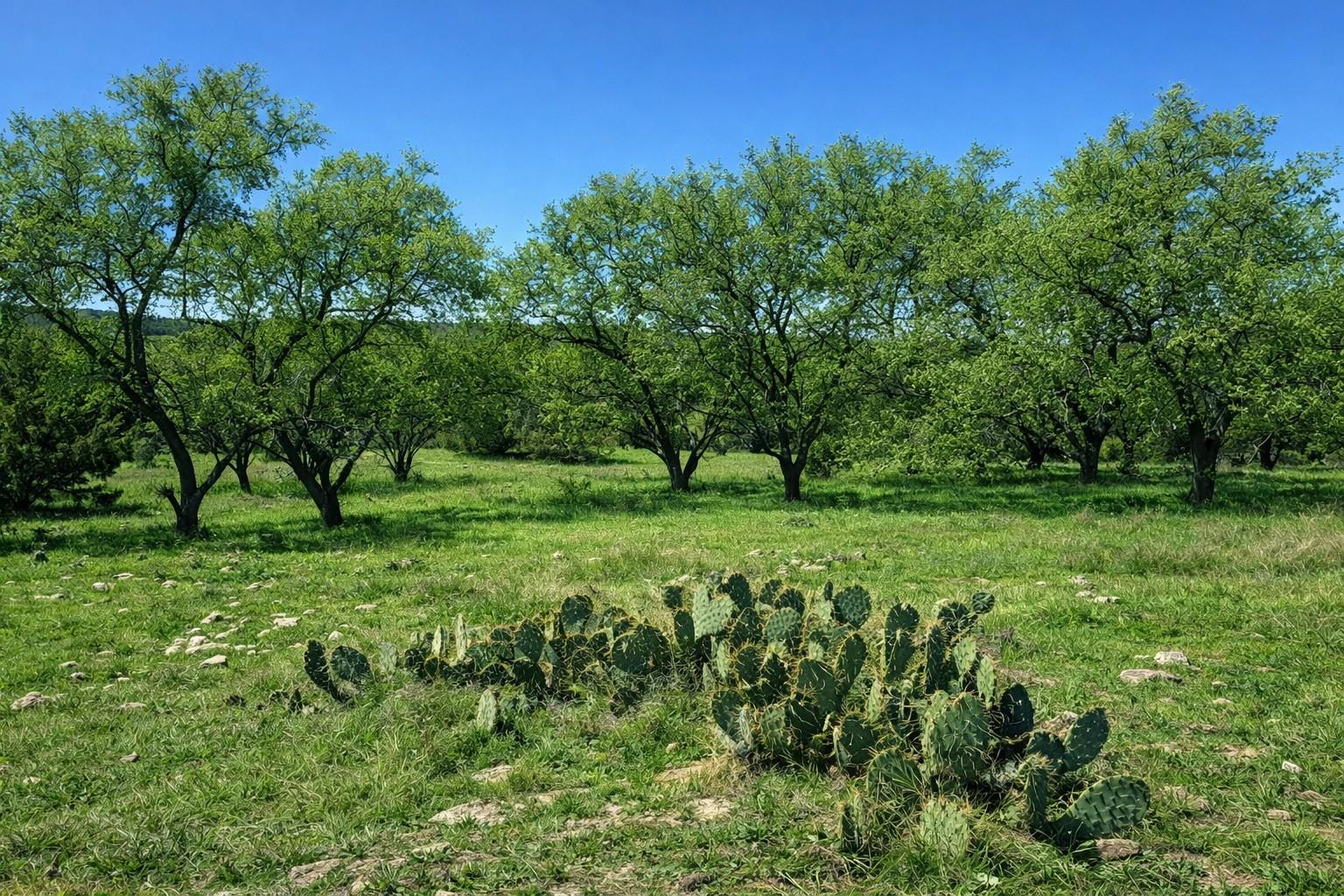 TBD View, Lampasas, TX 76550 — photo 1
