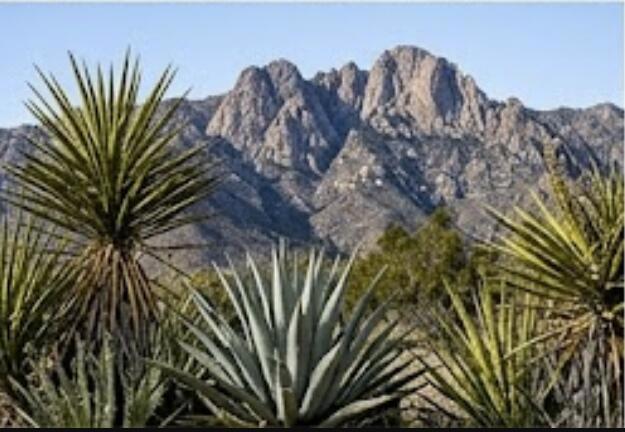 63330 Jeraboa Road, Mountain Center, CA 92561 — photo 1