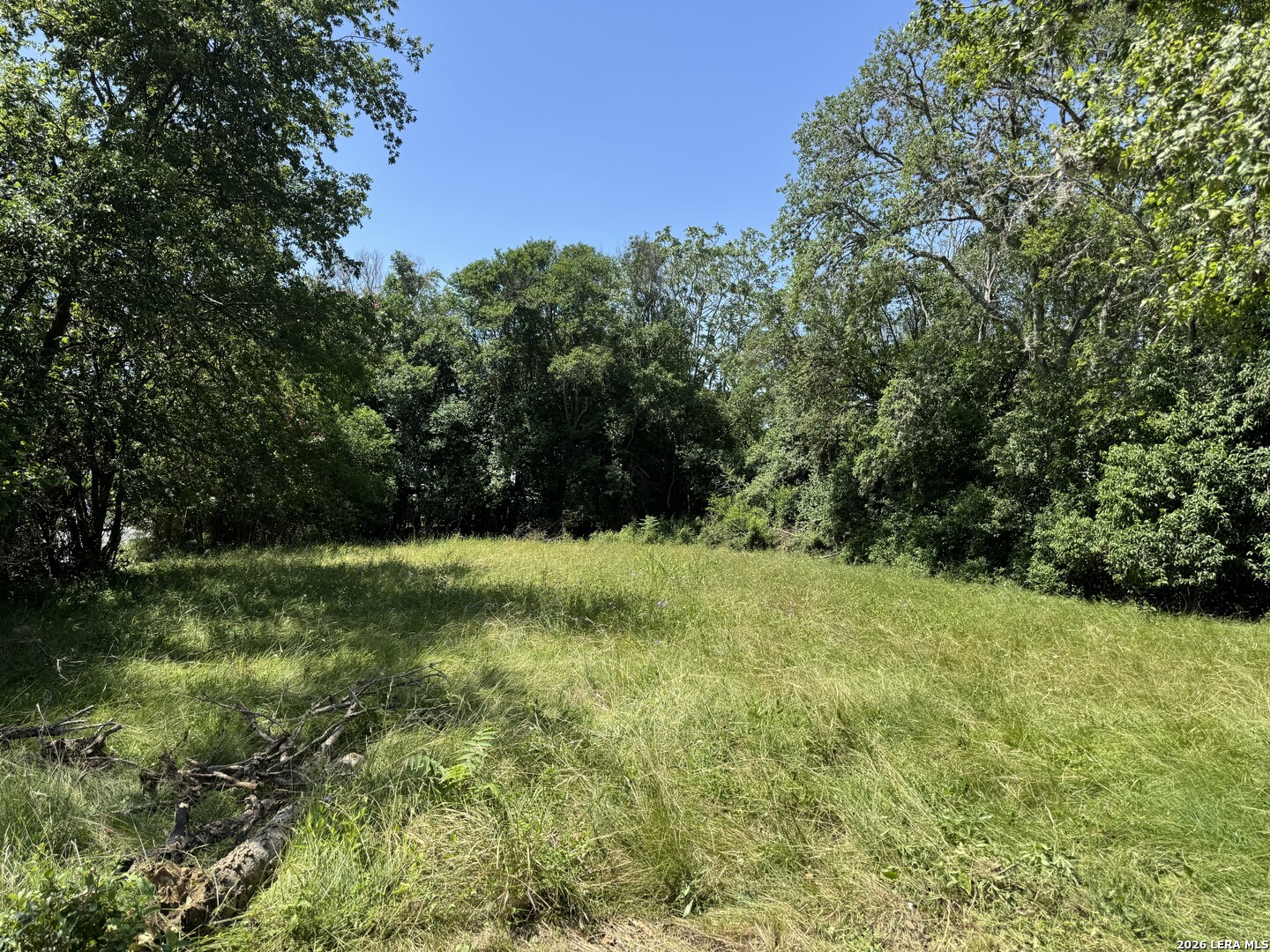 310 S Plant Ave, Boerne, TX 78006 — photo 1