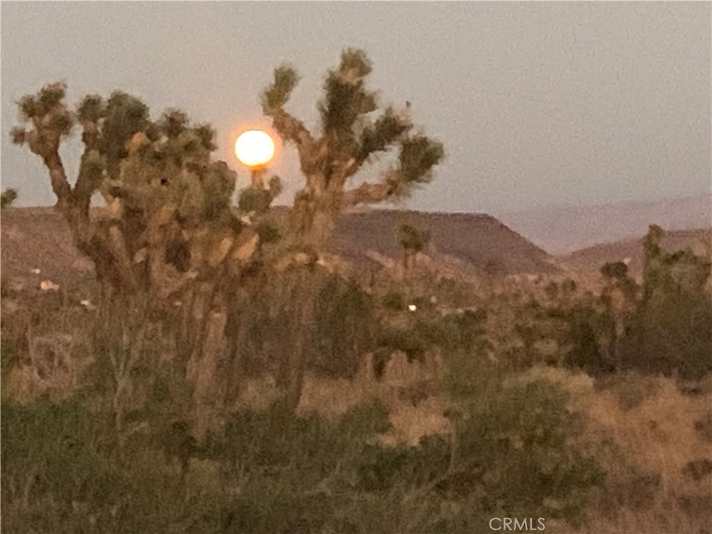 100 Gods Way Love Rd Road, Pioneertown, CA 92268 — photo 1