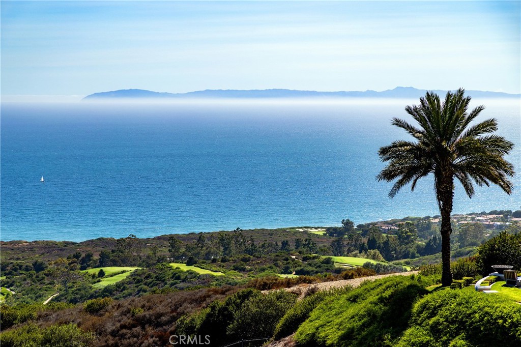 23 Pelican Vista, Newport Coast, CA 92657 — photo 1