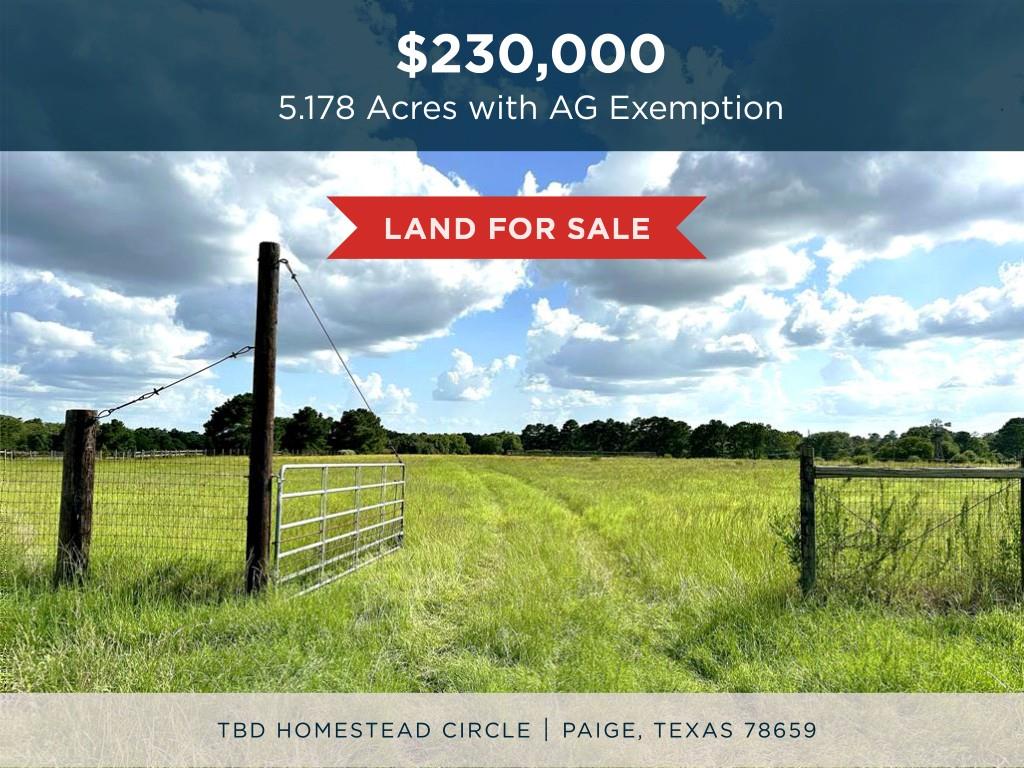 TBD Homestead Cir, Paige, TX 78659 — photo 1