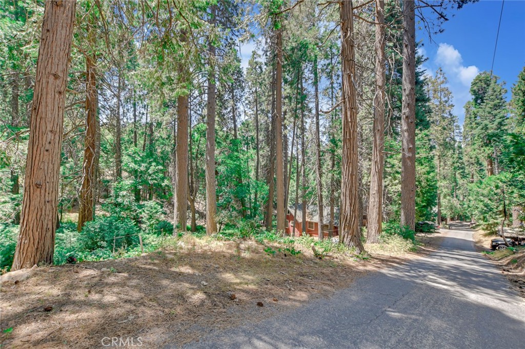 590 Electra Drive, Crestline, CA 92325 — photo 1