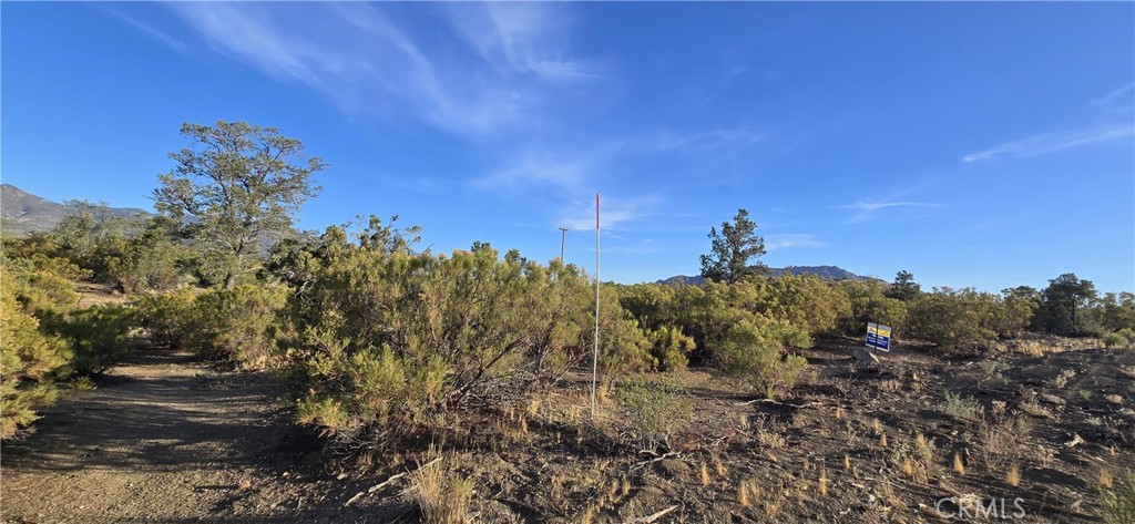 64001 Palm Canyon, Mountain Center, CA 92561 — photo 1