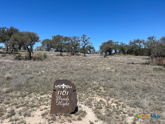 1161 Brads Flight, Canyon Lake, TX 78133 — photo 1
