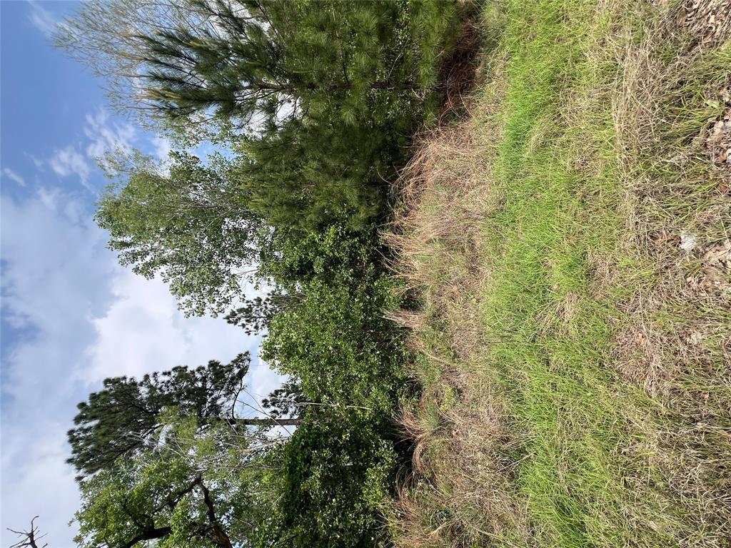 TBD  Monku Ct, Bastrop, TX 78602 — photo 1