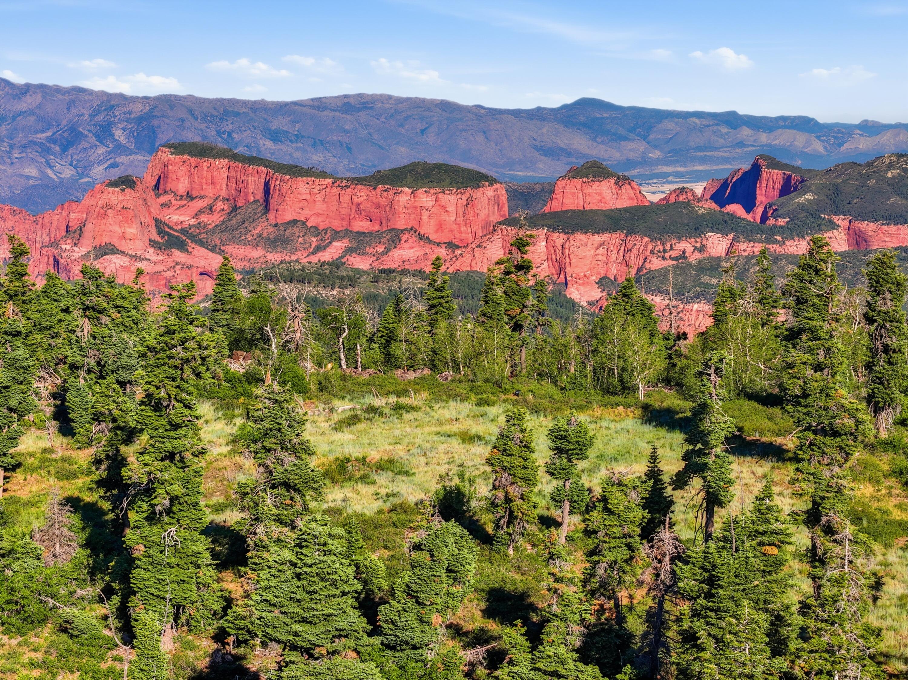 1063 W KOLOB RANCH DR, Kolob, UT 84767