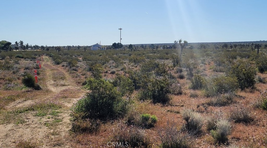 0 Vac/Vic Pb Hwy/184 Ste, Black Butte, CA 93591 — photo 1