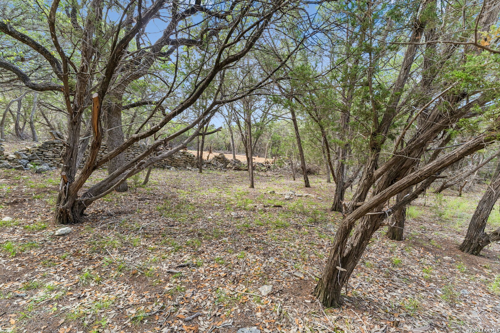 89 Lot Stallion Estates, , 78070 — photo 1