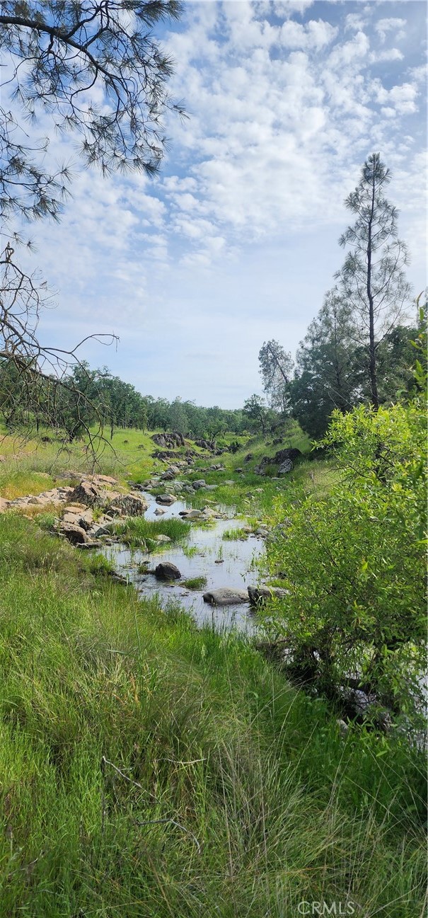 0 Daly