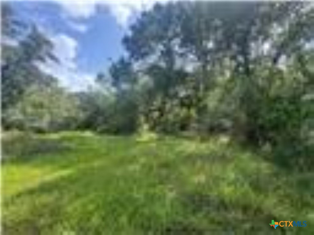 0 Dewberry Lane, Louise, TX 77455 — photo 1