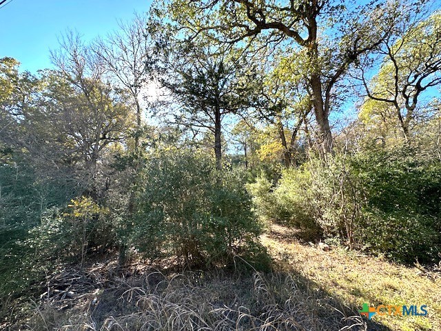 506 Tahitian Drive, Bastrop, TX 78602 — photo 1