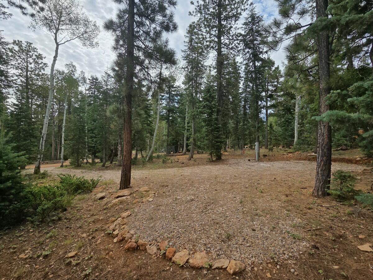 3135 N Power Line RD, Duck Creek Village, UT 84762 — photo 1