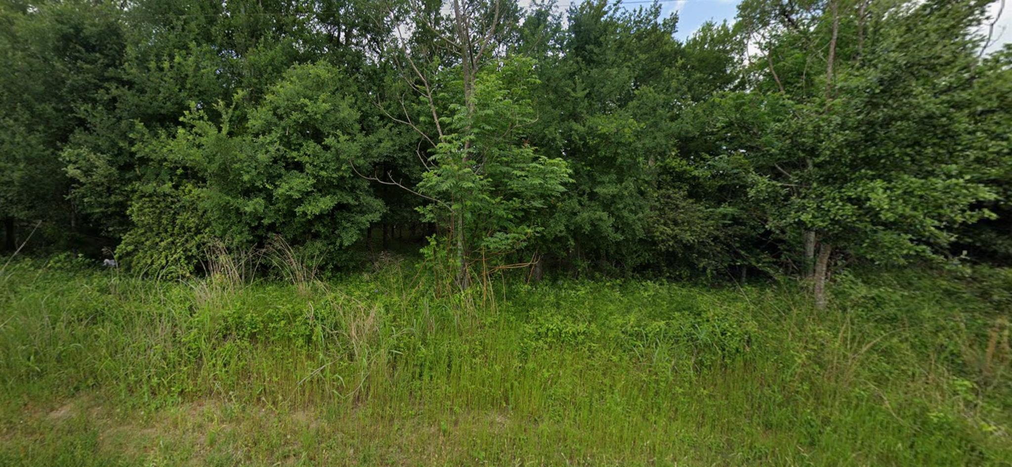 22 Timberforest, Bastrop, TX 78602 — photo 1
