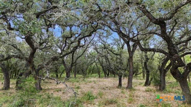 395 Machicek Rd, Goliad, TX 77963 — photo 1