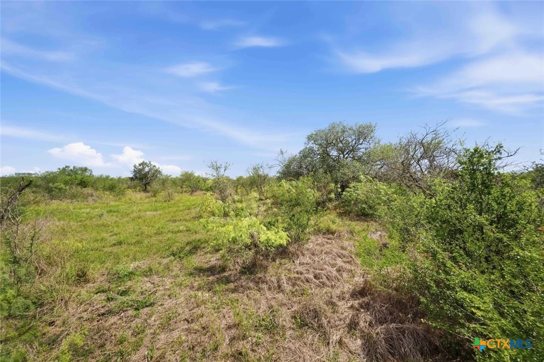 119 Machicek Rd, Goliad, TX 77963 — photo 1