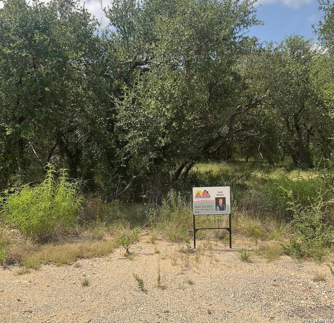 713 JOHANNA RIDGE RD, , 78163 — photo 1