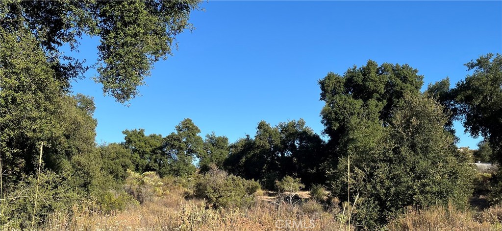 35010 Willow Creek Rd., Hemet, CA 92544 — photo 1